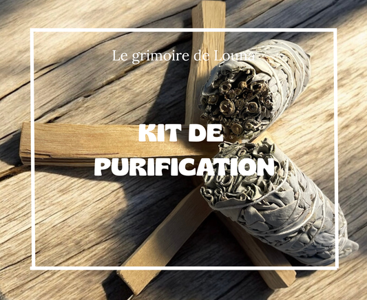 Kit de purification